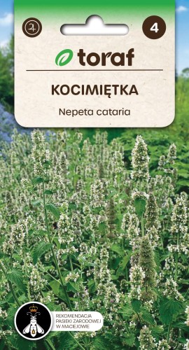 Kocimietka-Nepeta-cataria-Toraf.jpg
