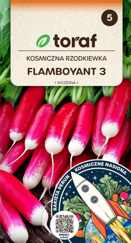 Kosmiczna-Rzodkiewka-FLAMBOYANT-3-Toraf