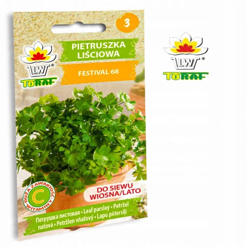 Pietruszka naciowa liściowa Festival 5g
