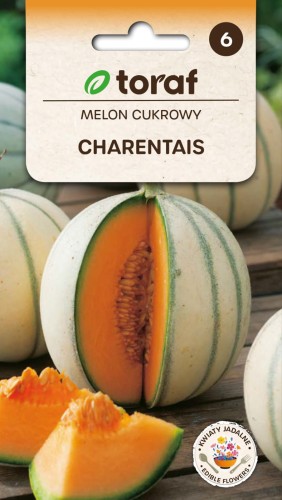 Melon cukrowy Charentaise nasiona 1g