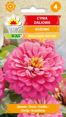 Cynia daliowa różowa 1g