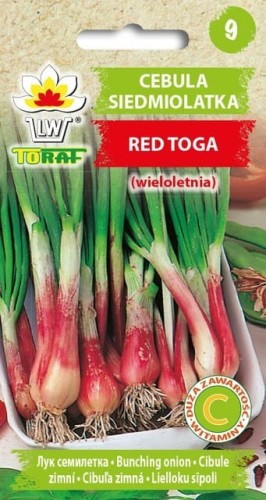 Cebula siedmiolatka Red Toga nasiona 1 g
