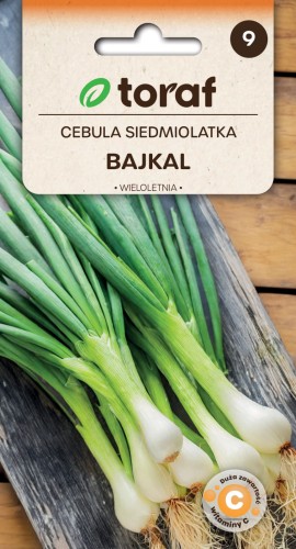 Cebula-siedmiolatka-BAJKAL-Toraf.jpg