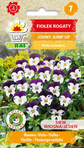 Fiolek-rogaty-JOHNY-JUMP-UP-Toraf.jpg