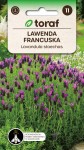 Lawenda francuska wiecznie zielona 0,1 g