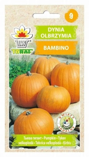 Dynia olbrzymia BAMBINO 5 g Toraf nasiona
