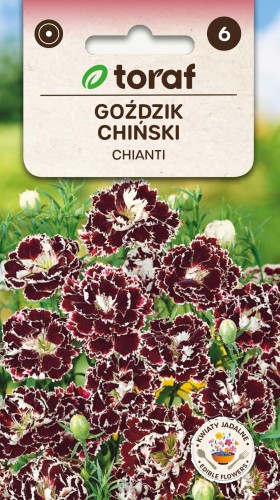 Goździk chiński CHIANTI