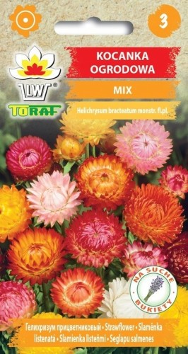 Kocanka Ogrodowa Nieśmiertelnik MIX KOLORÓW