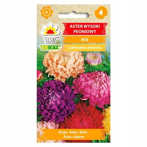 Aster wysoki peoniowy mix 1g Toraf