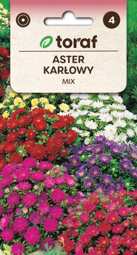 Aster-karlowy-MIX-Toraf.jpg