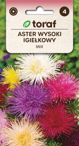 Aster-wysoki-igielkowy-MIX-Toraf.jpg