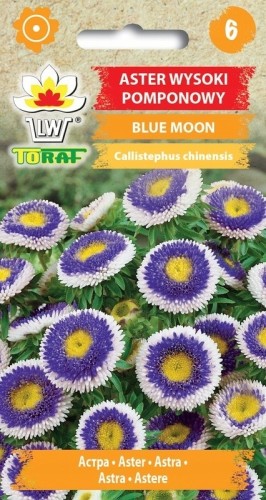 Aster wysoki pomponowy BLUE MOON 0,5g