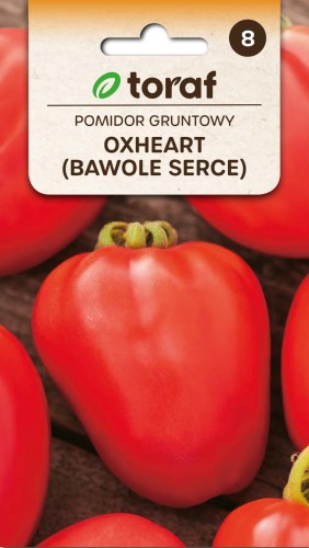 Pomidor-gruntowy-OXHEART-bawole-serce-Toraf.jpg