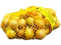 Cebula-Dymka-ZIMUJACA-OZIMA-IV-20-25-mm-Senshyu-Yellow-0-5kg-EAN-GTIN-5906245724884.jpg