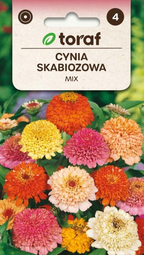 Cynia-skabiozowa-MIX-Toraf.jpg