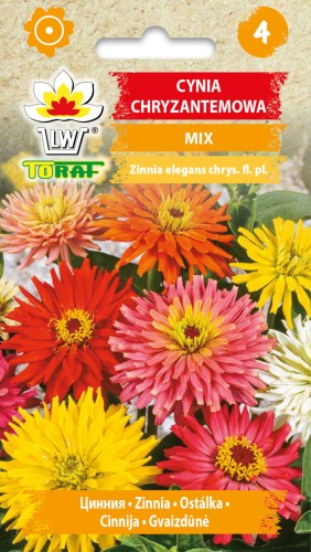 Cynia-chryzantemowa-MIX-Toraf.jpg