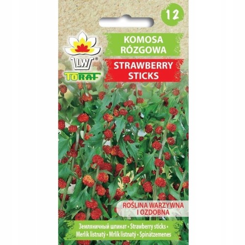 Komosa rózgowa Strawberry Sticks