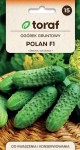 Ogórek Polan nasiona 5g