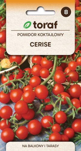 Pomidor koktajlowy Cerise