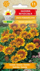 Gazania Lśniąca 0,5 g