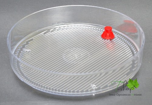 Kiełkownica - szalka na kiełki