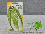 Kapusta Pekińska Bristol 1g