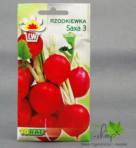 Rzodkiewka czerwona SAXA