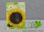 Słonecznik jadalny paskowany 10g