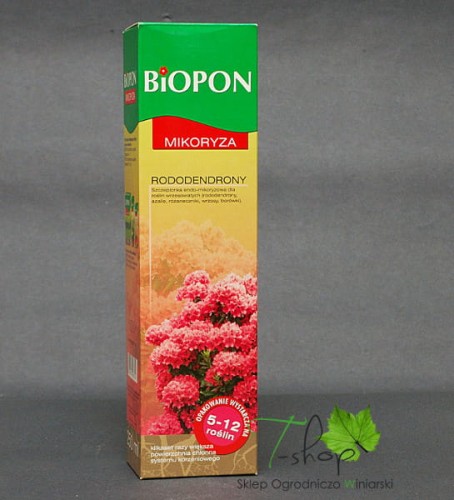 MIKORYZA Rododendrony