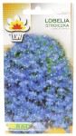 Lobelia Stroiczka