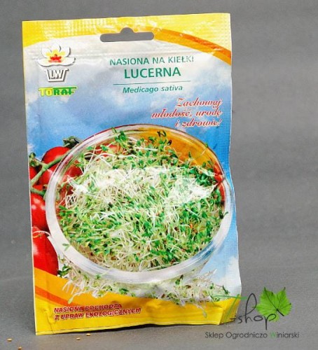 Nasiona na kiełki LUCERNA