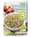 Kiełki BIO - Soczewica 20 g
