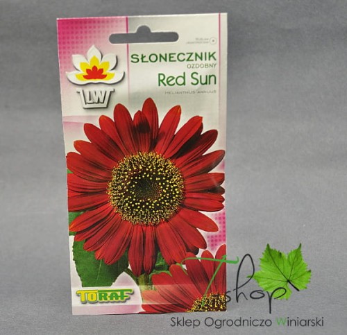 Słonecznik ozdobny Red Sun 2g