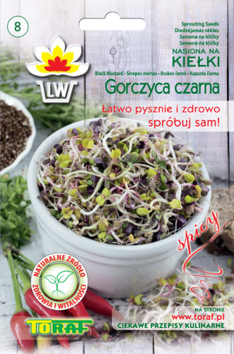 kielki gorczyca czarna