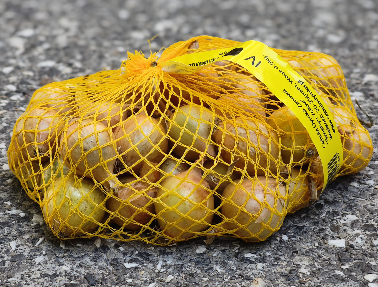 Cebula Dymka Senshyu Yellow 0,5kg